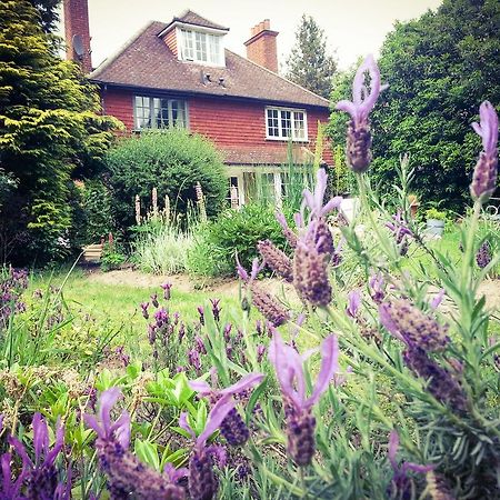 Rosemead Guest House Claygate エクステリア 写真