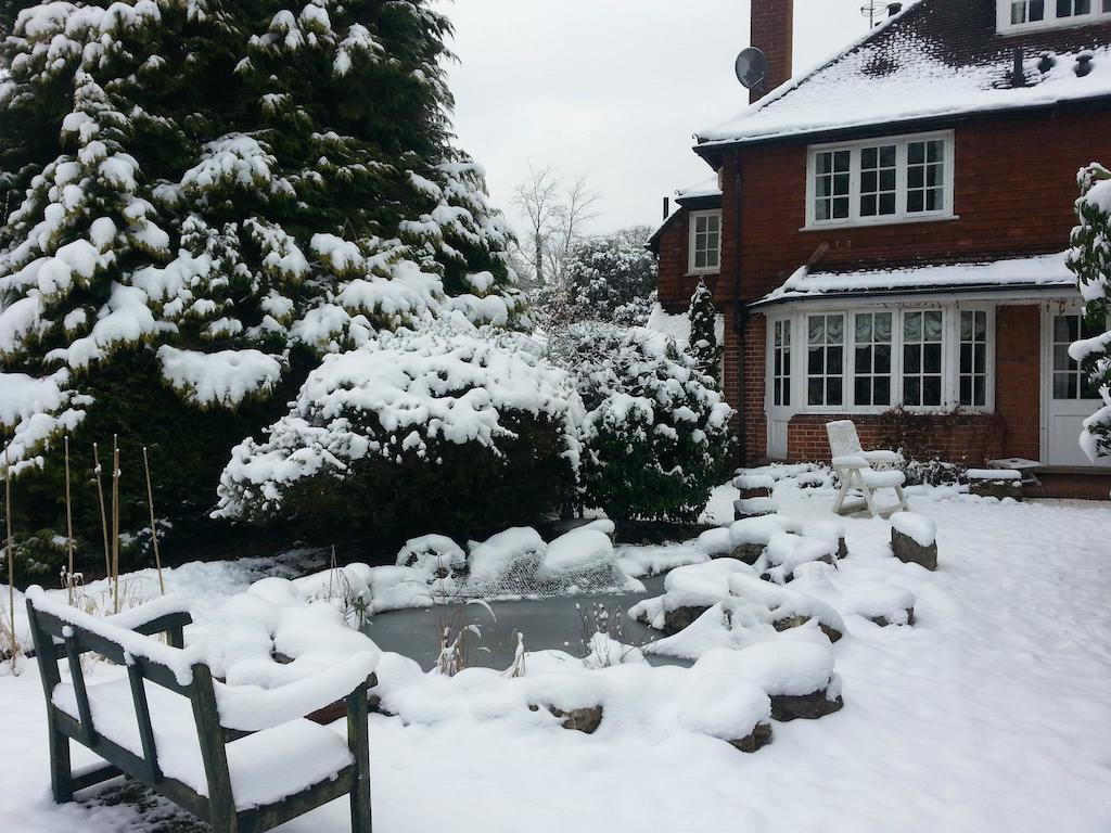 Rosemead Guest House Claygate エクステリア 写真