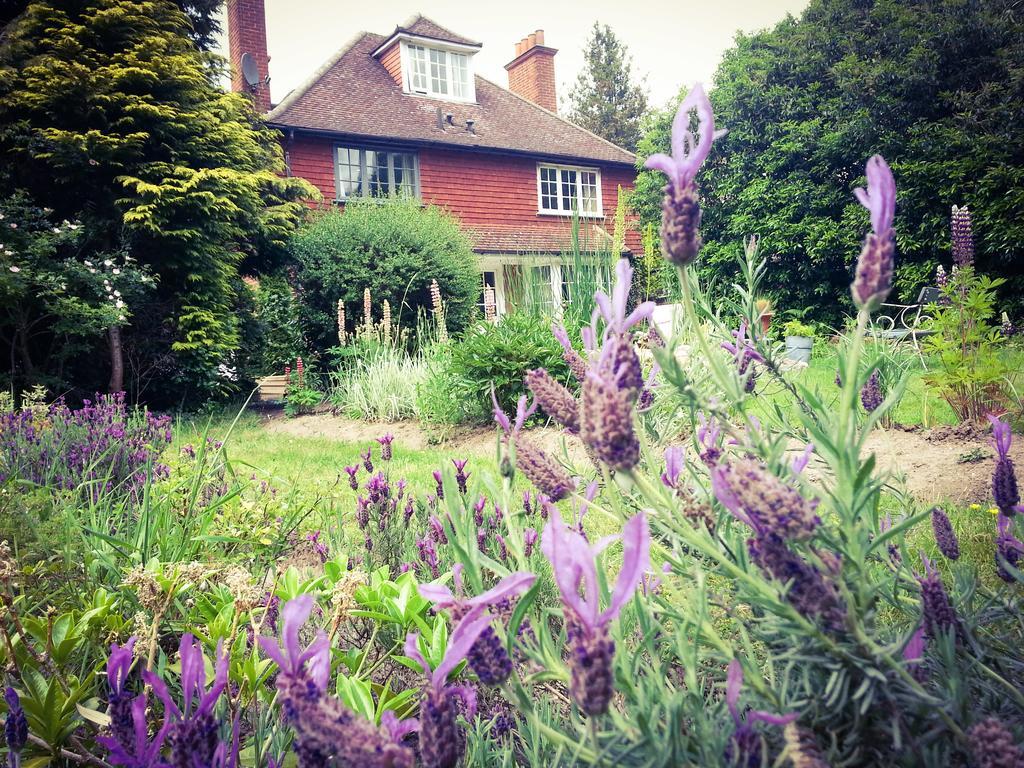 Rosemead Guest House Claygate エクステリア 写真
